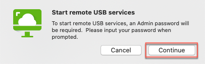 Start remote USB services